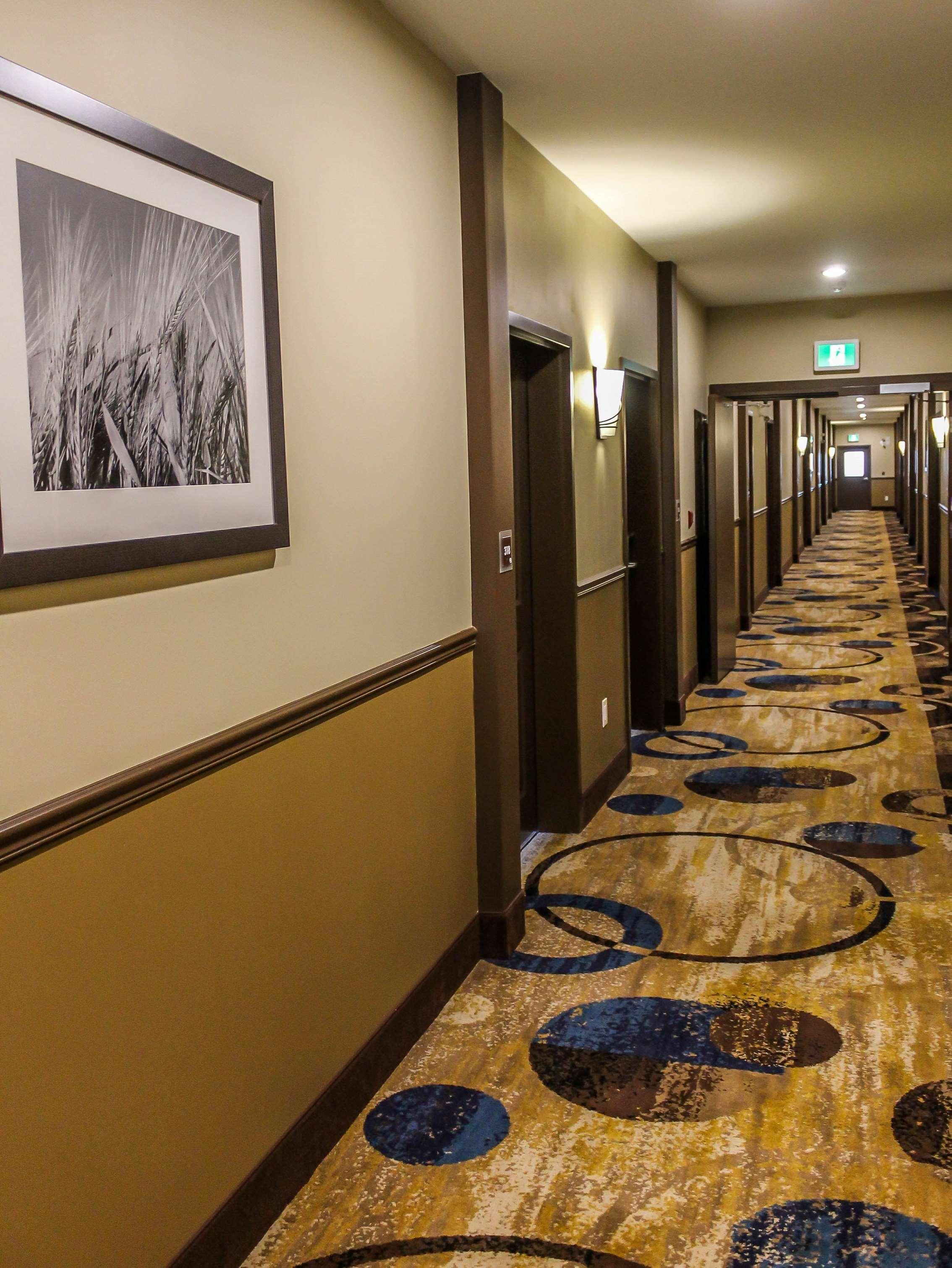 Best Western Plus Moosomin Hotel Dış mekan fotoğraf